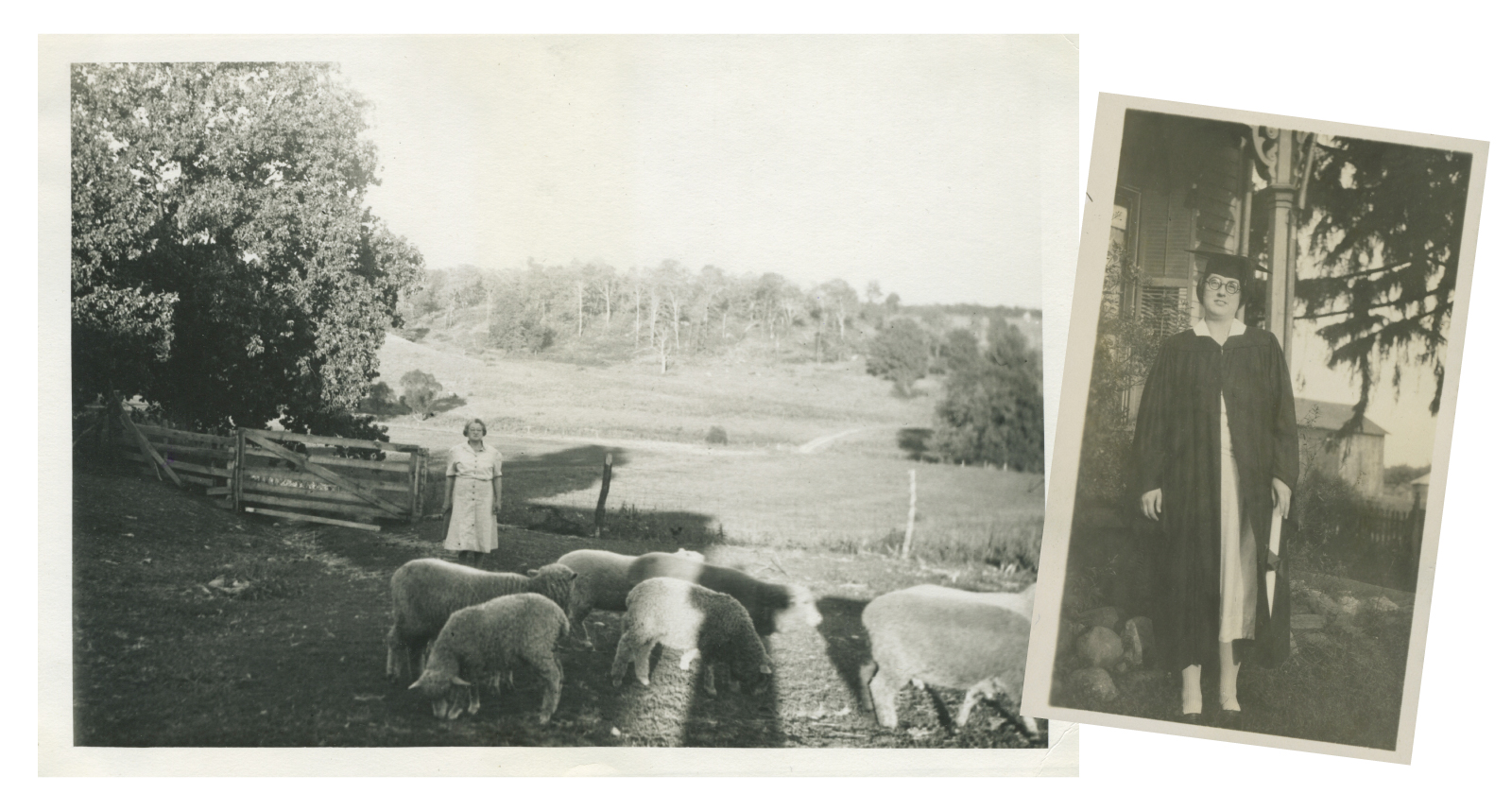 Lessons on the Land: Anna Hobart looks after the sheep on the farm, just a few of the animals that called the place home (left). Dorothy Hobart on her ز,Ȳַ
######### graduation day in 1925 (right).