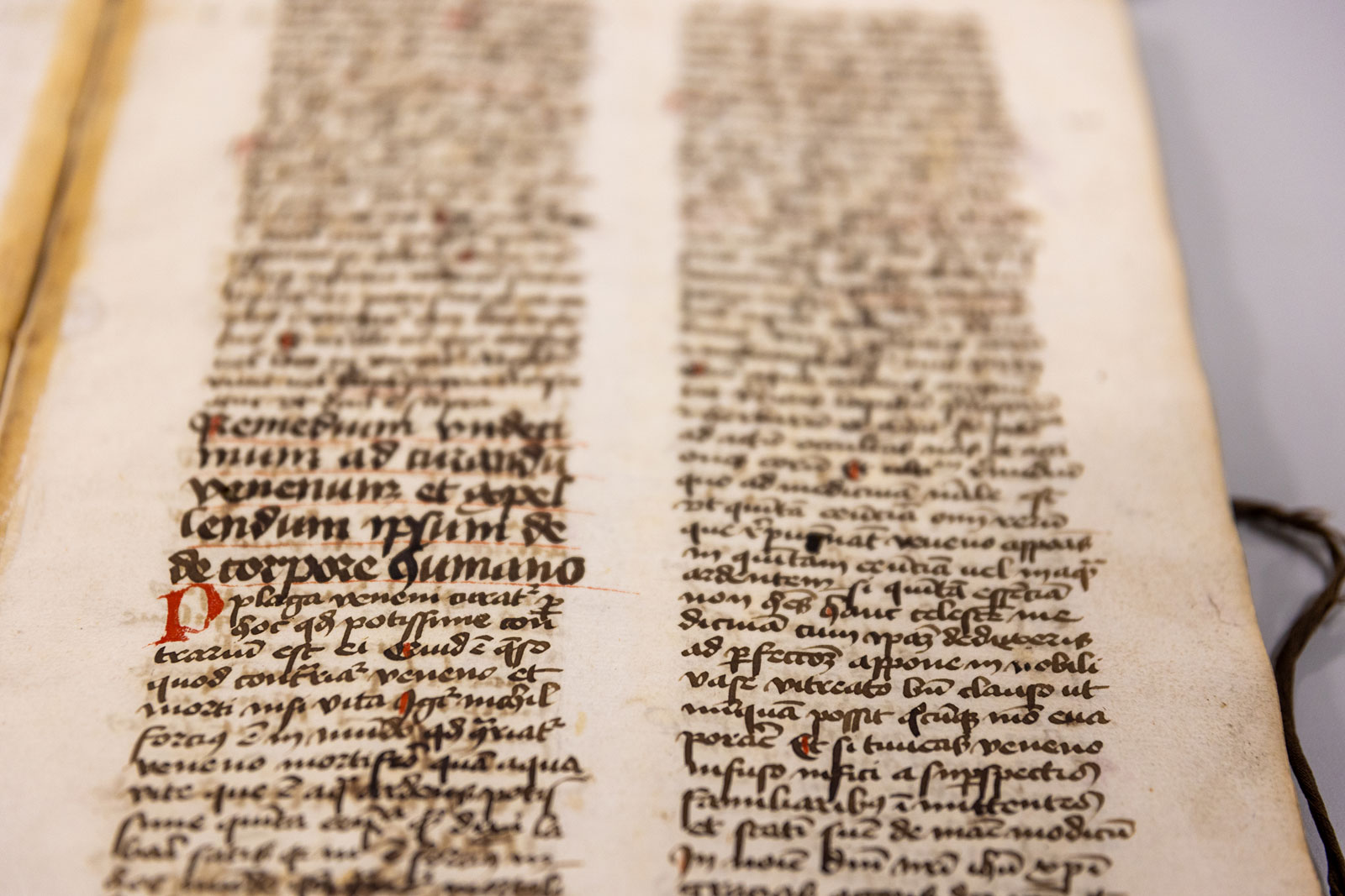 Like many texts of its era, the manuscript was penned on highly durable parchment made of animal hide.