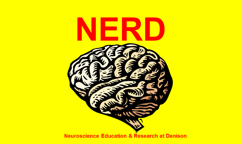 Neuroscience Education and Research at ز,Ȳַ
######### Poster